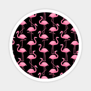 Pink cranes Magnet